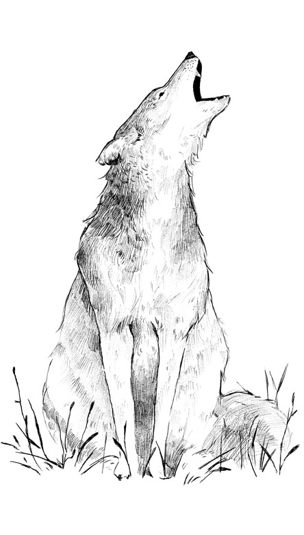 charles hamm ponder on it pilgrims book illustration